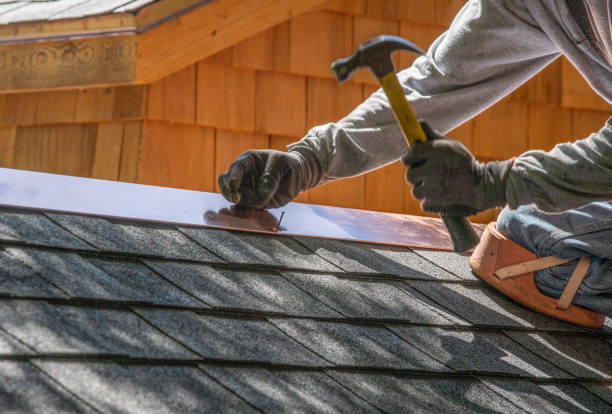 Best Roof Maintenance and Cleaning  in USA